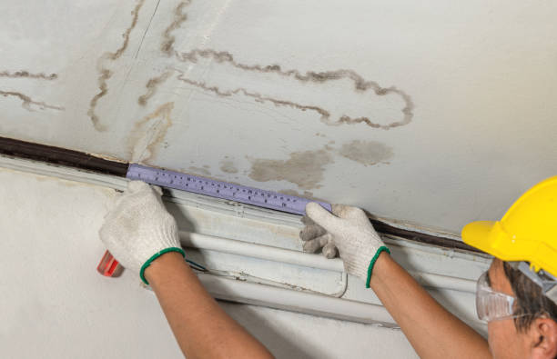 Reliable Mold Remediation contractor in Joint Base Mdl, NJ by Local Water Damage Repair